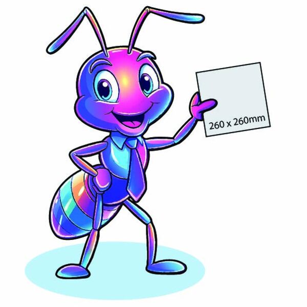 Pro DTF Transfer 260 x 260mm Thumbnail